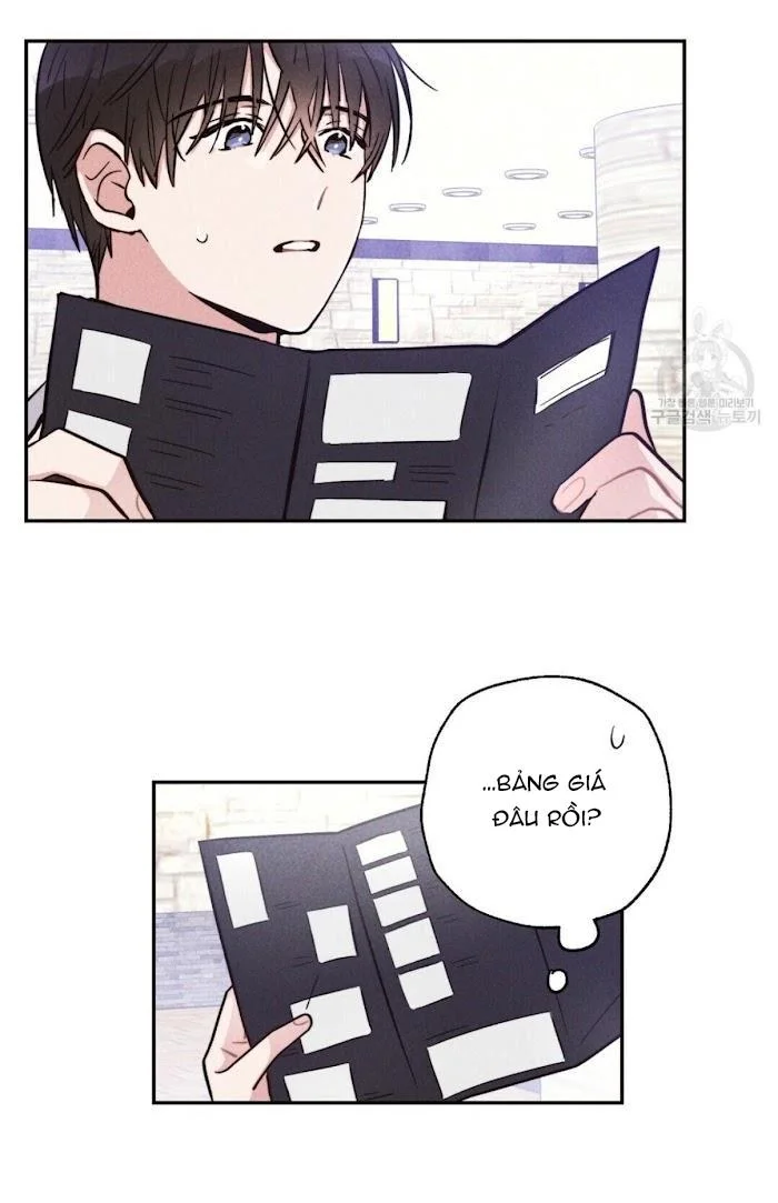 Chapter 11