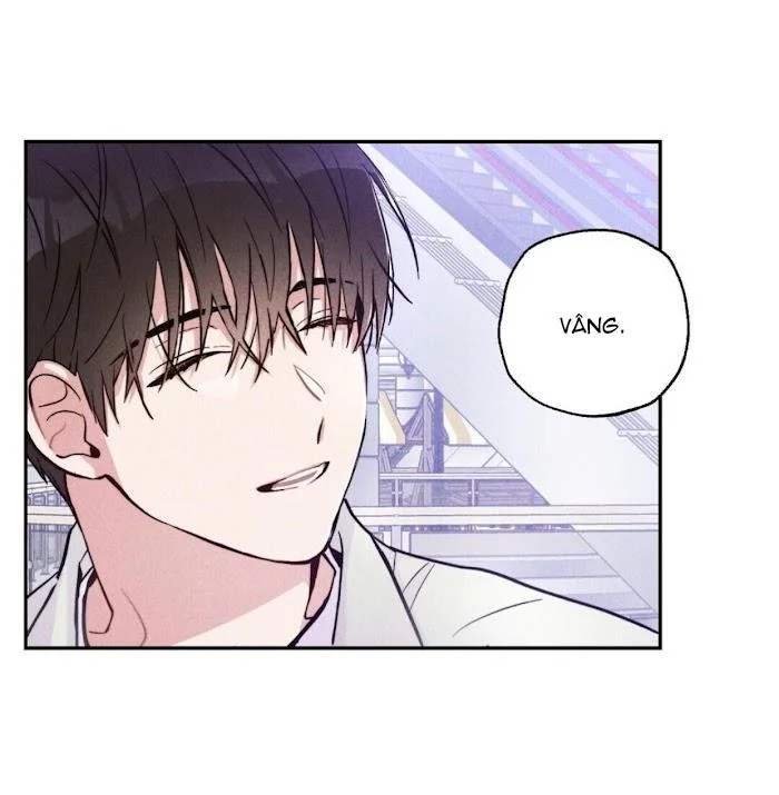 Chapter 11