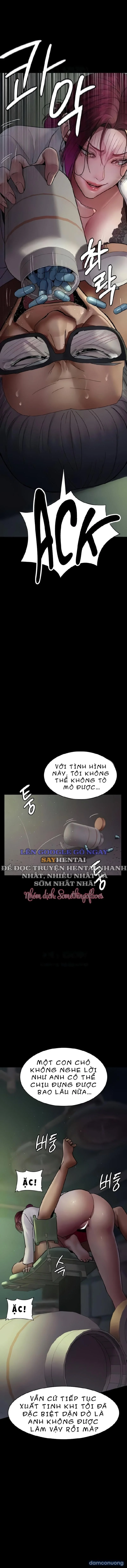Chapter 41