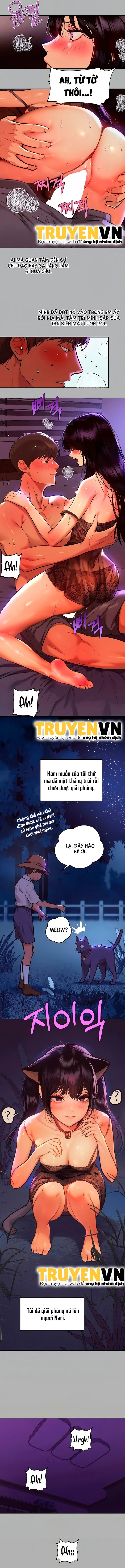 Chapter 40