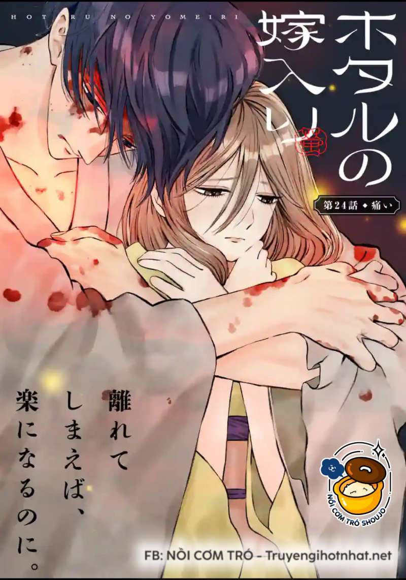Chapter 26.1