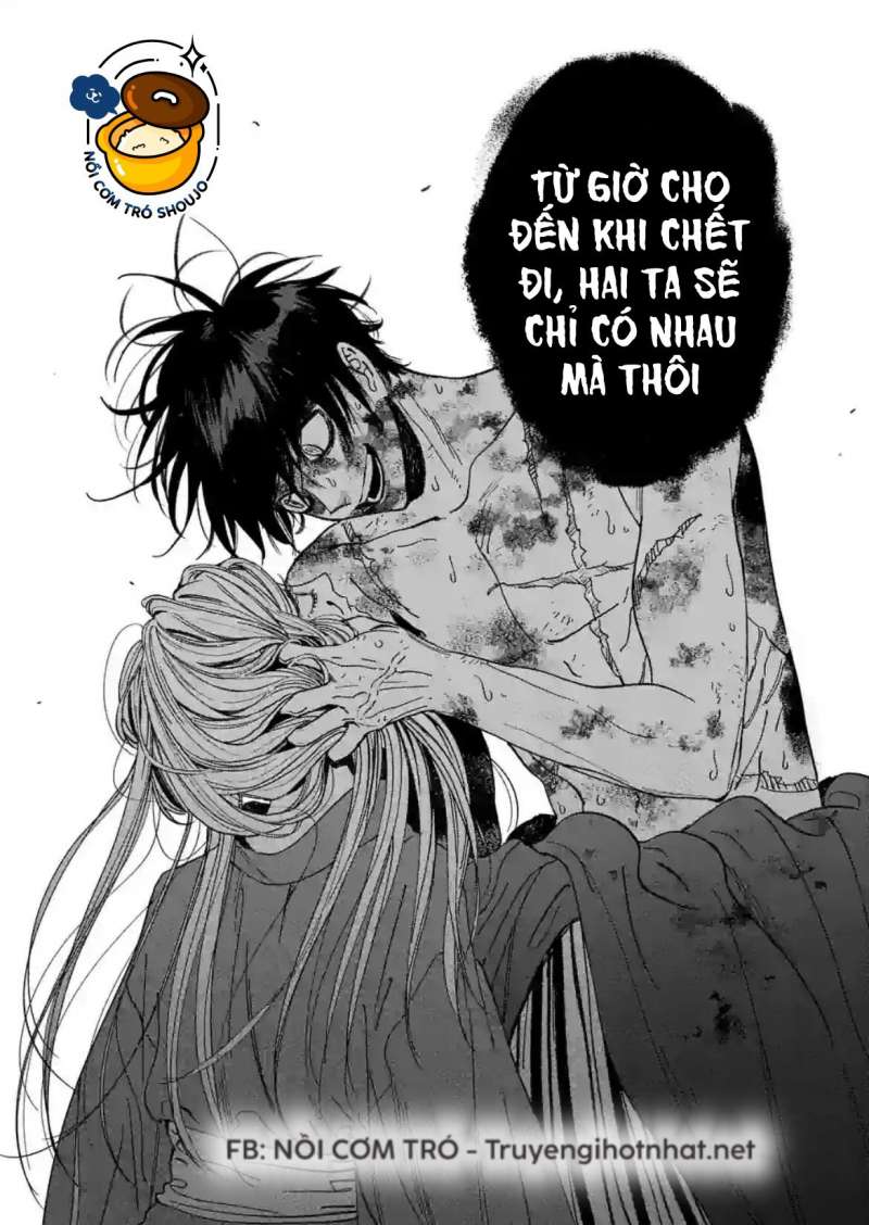 Chapter 26.1