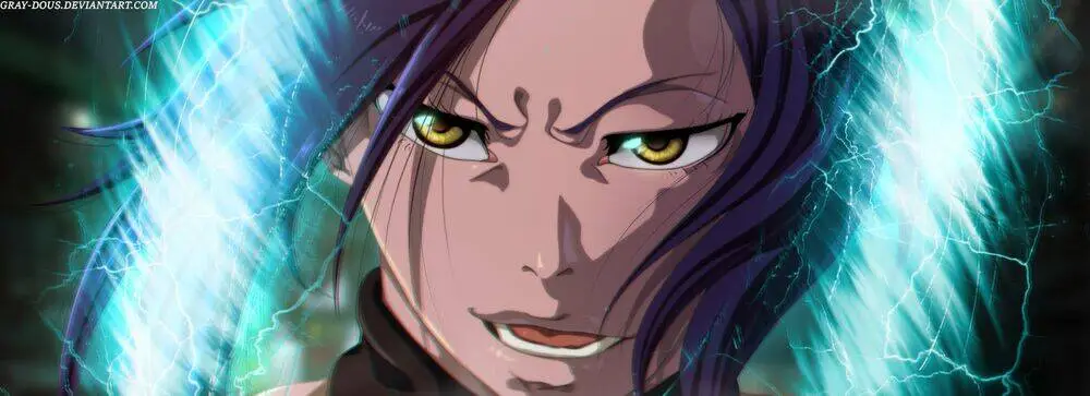 Chapter 667