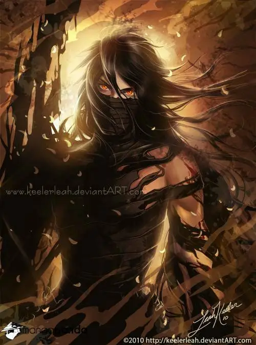 Chapter 534