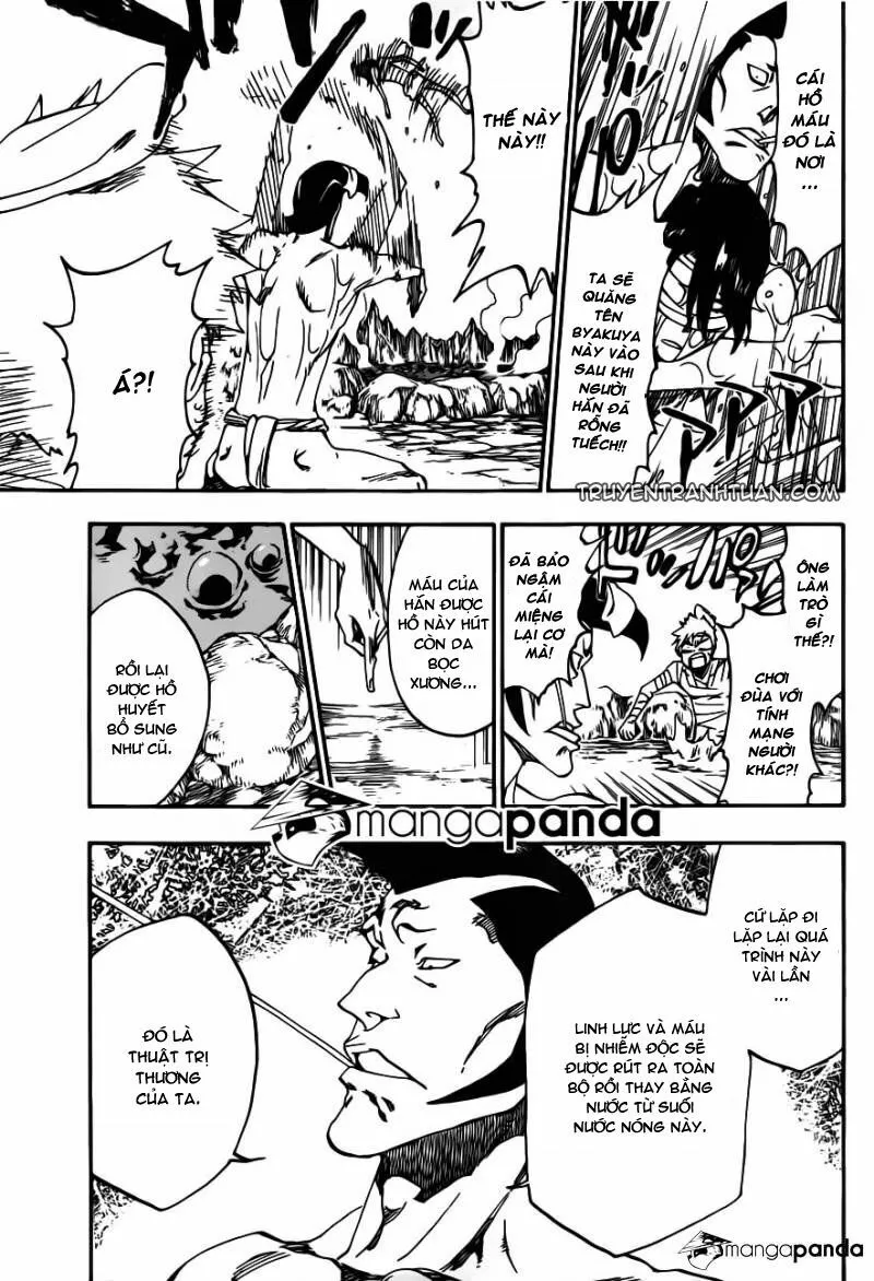 Chapter 519
