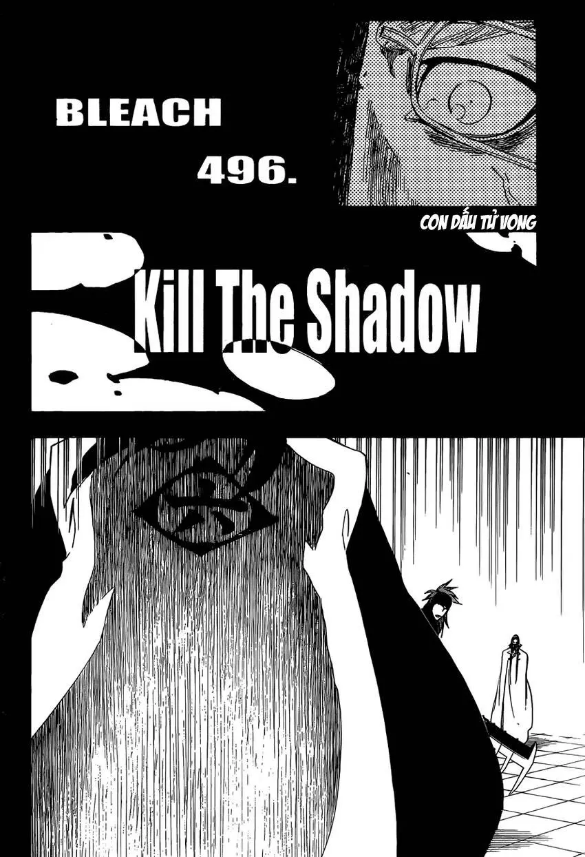 Chapter 496