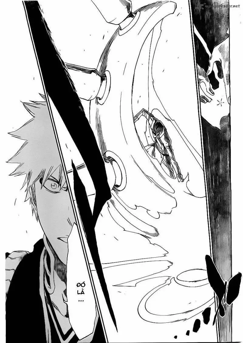 Chapter 482