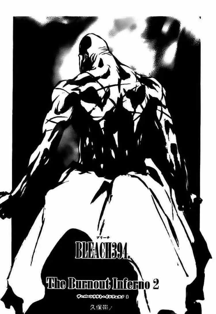 Chapter 394