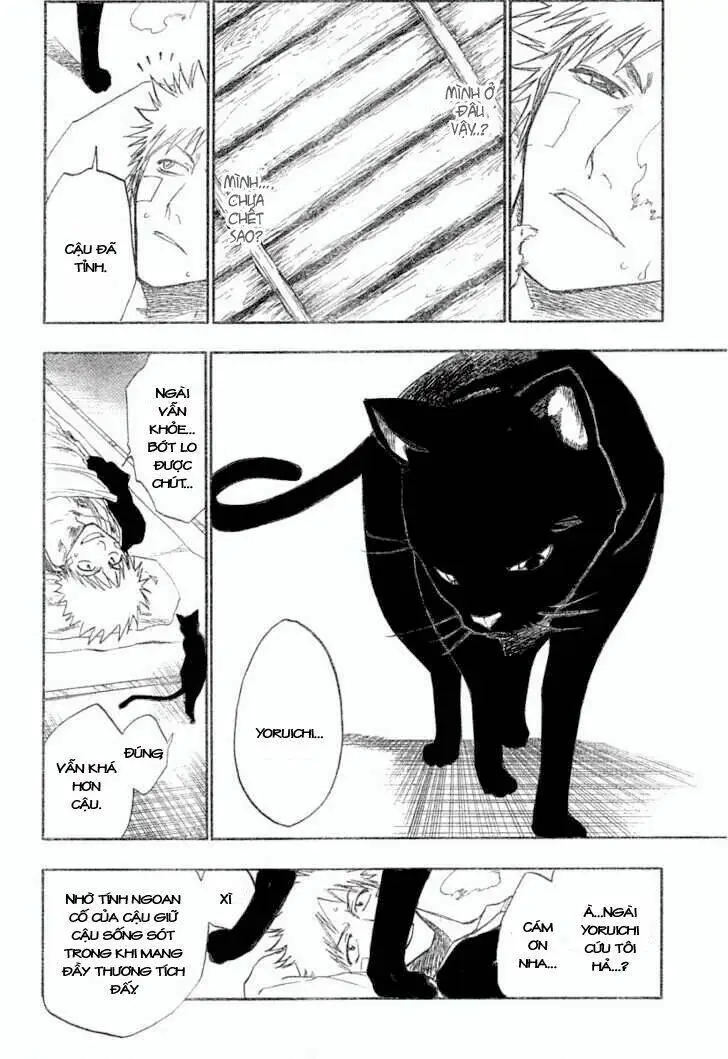 Chapter 116