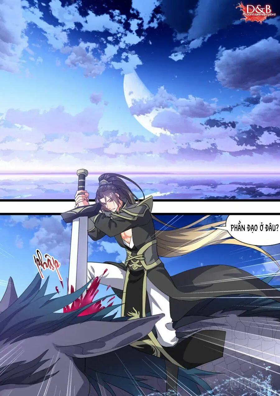Chapter 281