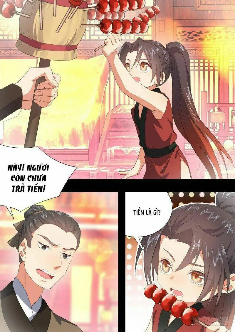 Chapter 255