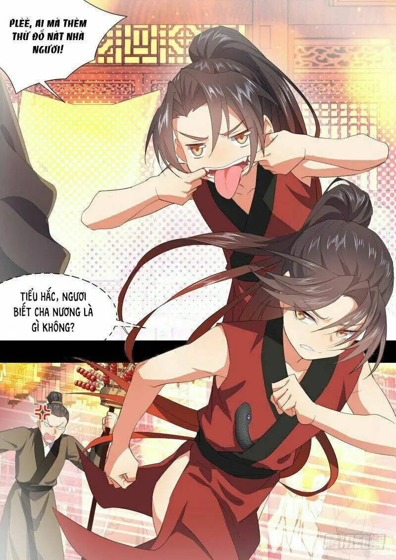 Chapter 255