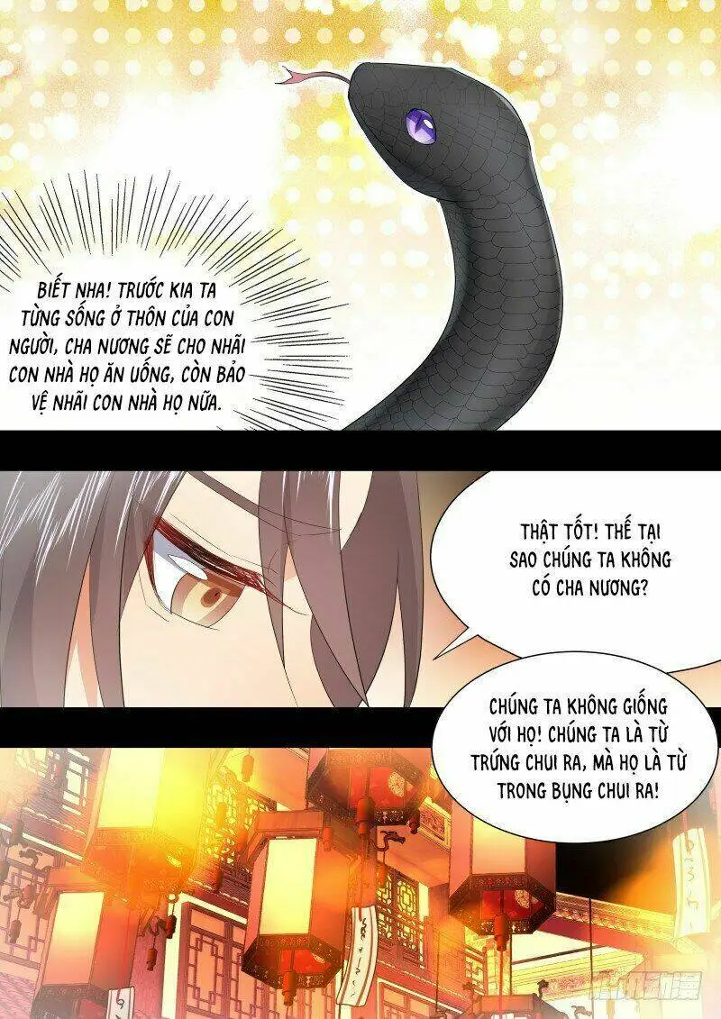 Chapter 255