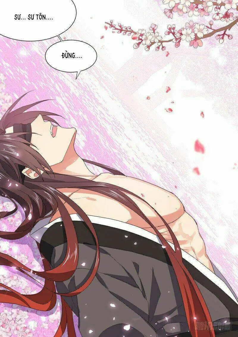 Chapter 243