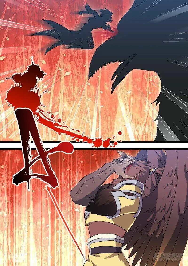 Chapter 214