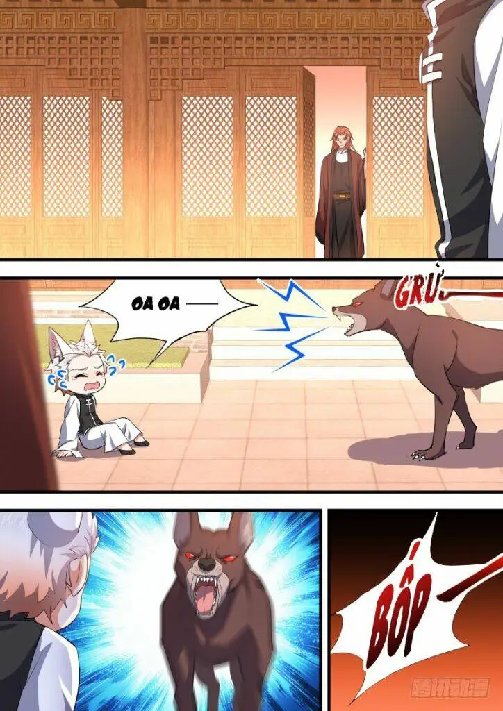 Chapter 162