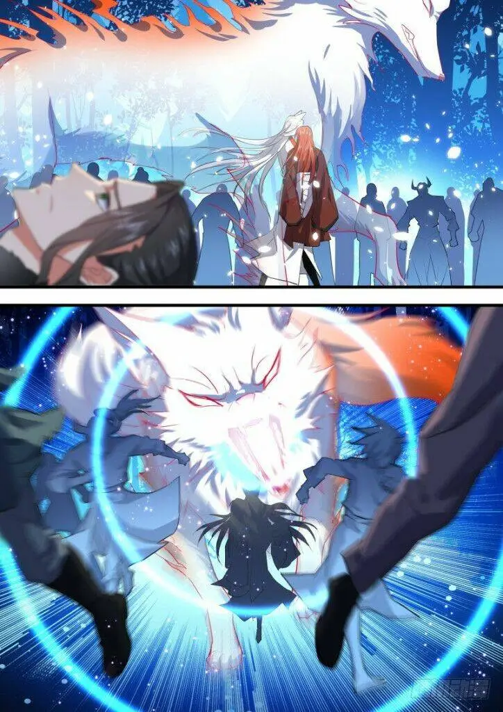 Chapter 156