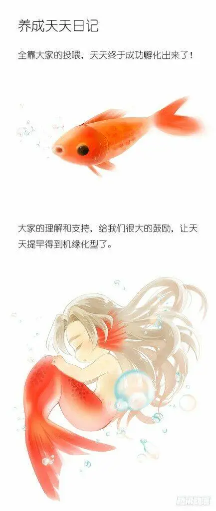 Chapter 153