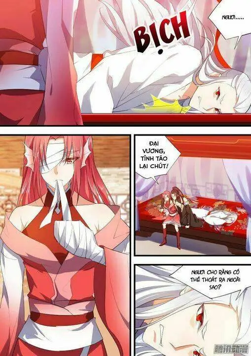 Chapter 66