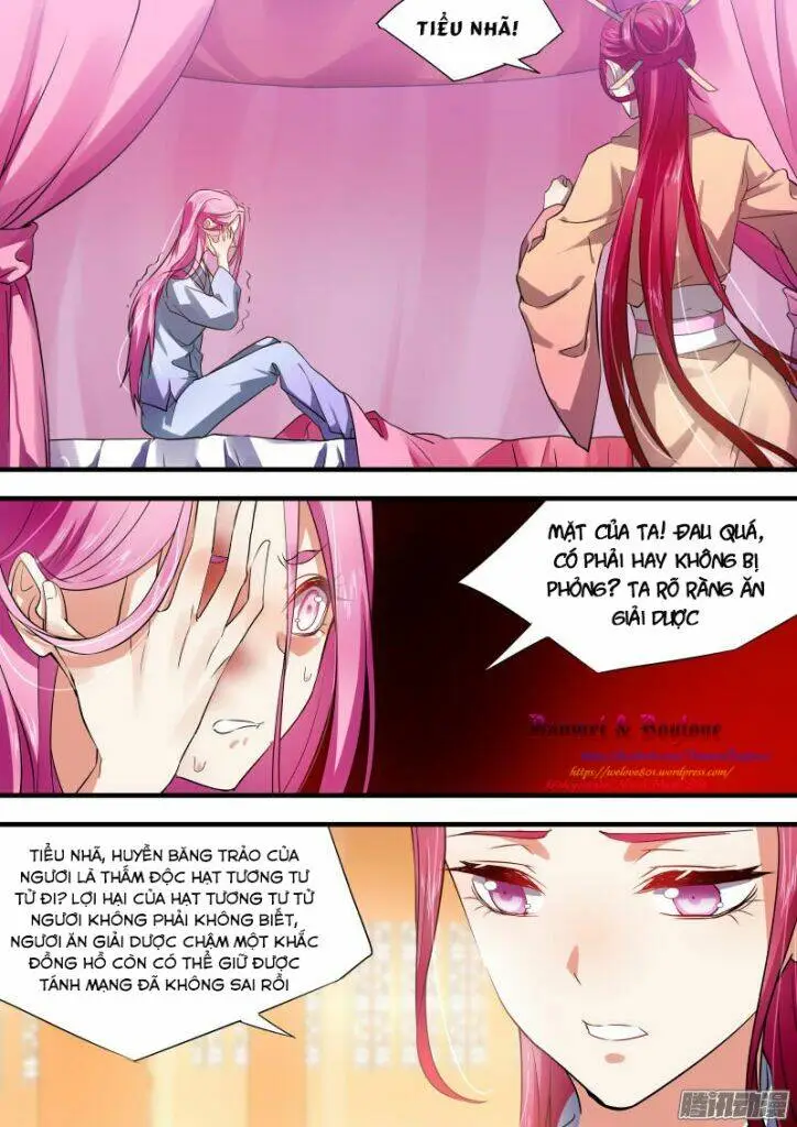 Chapter 40