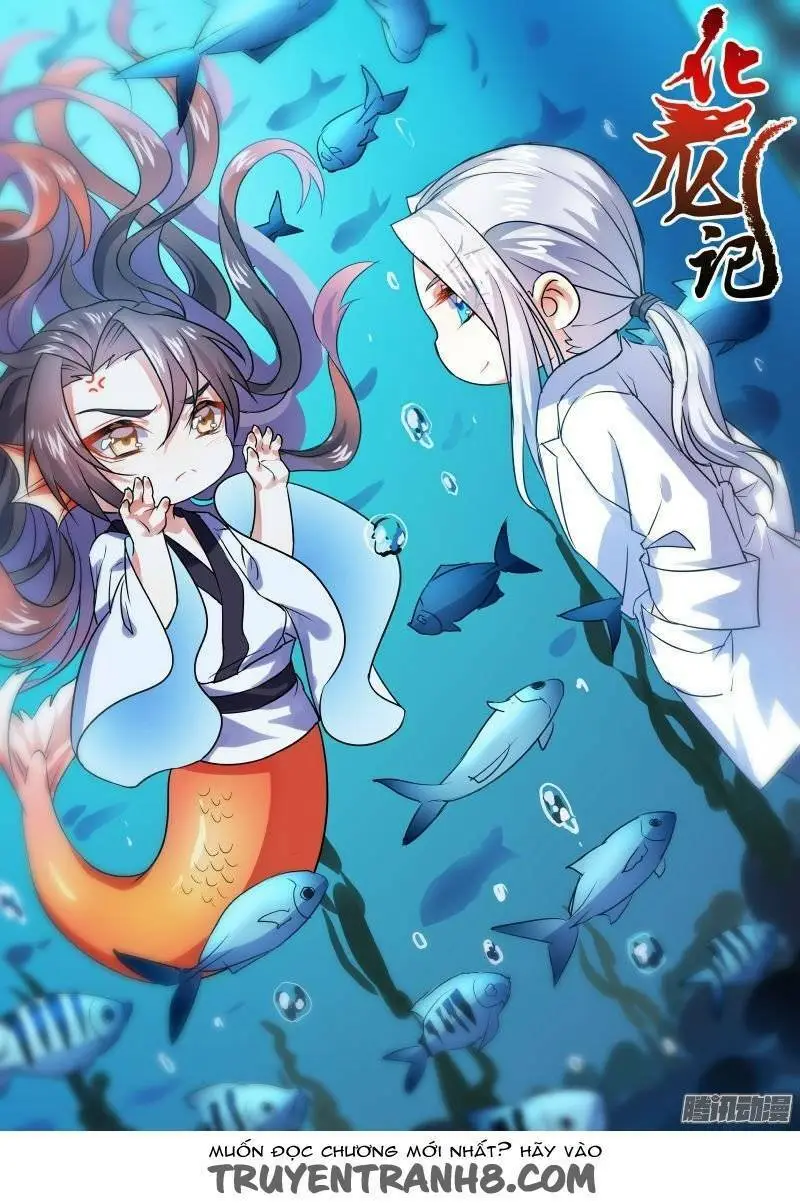 Chapter 28