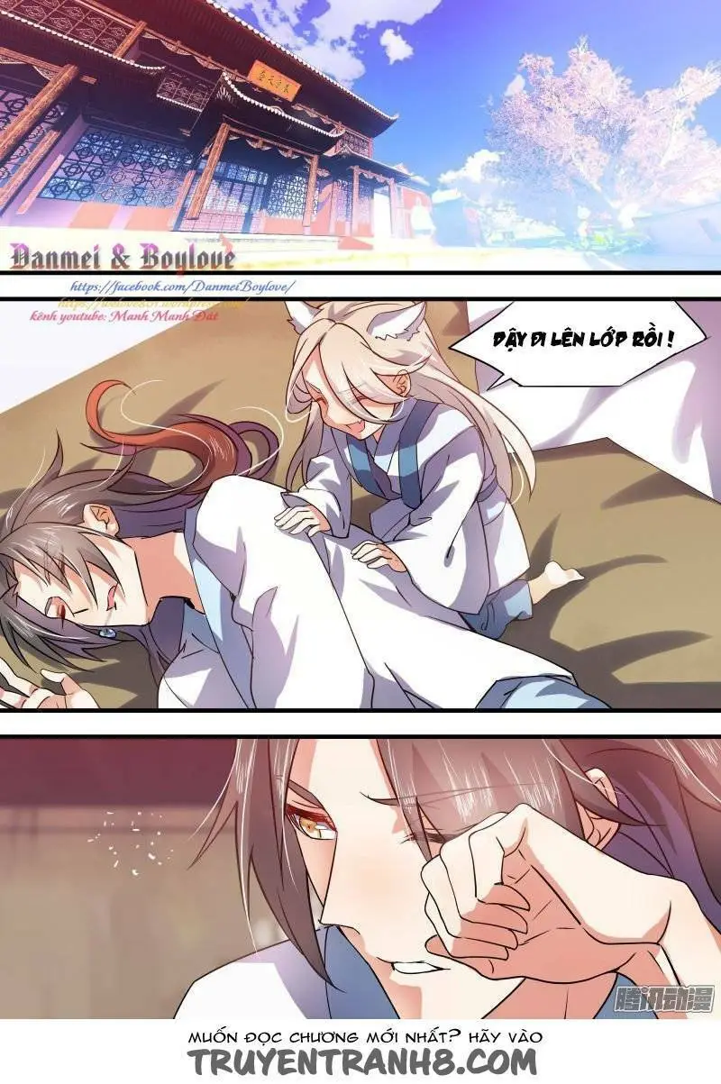 Chapter 28