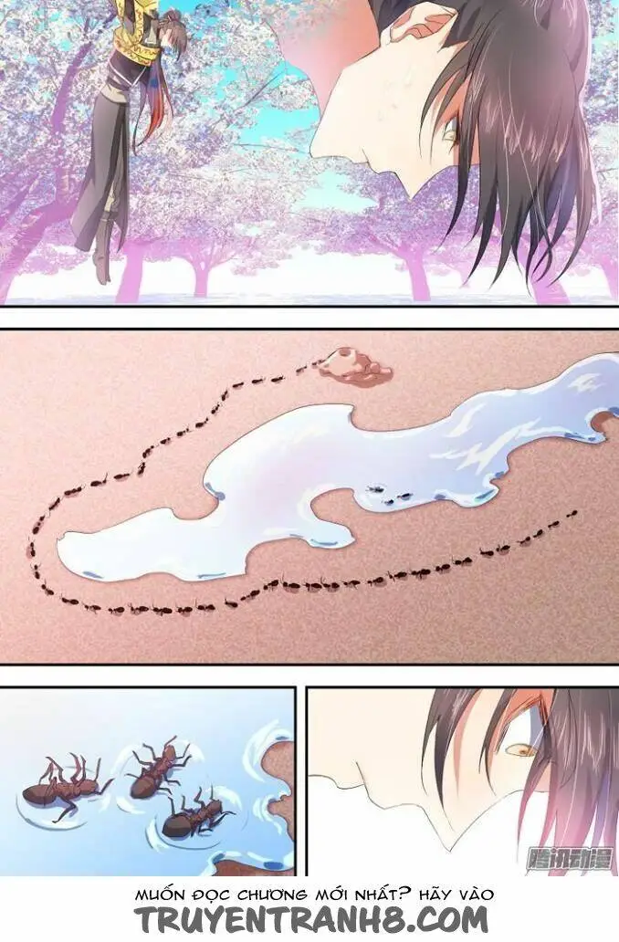 Chapter 12