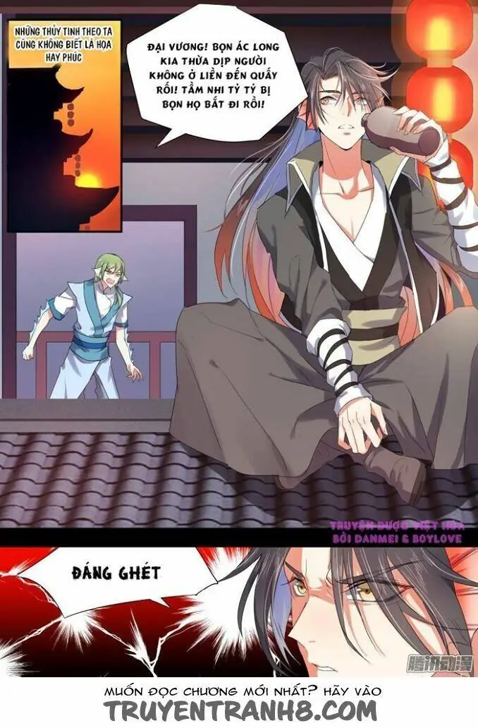 Chapter 11
