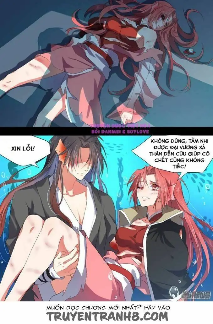 Chapter 11