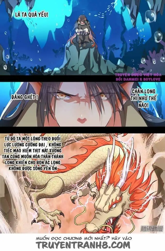 Chapter 11