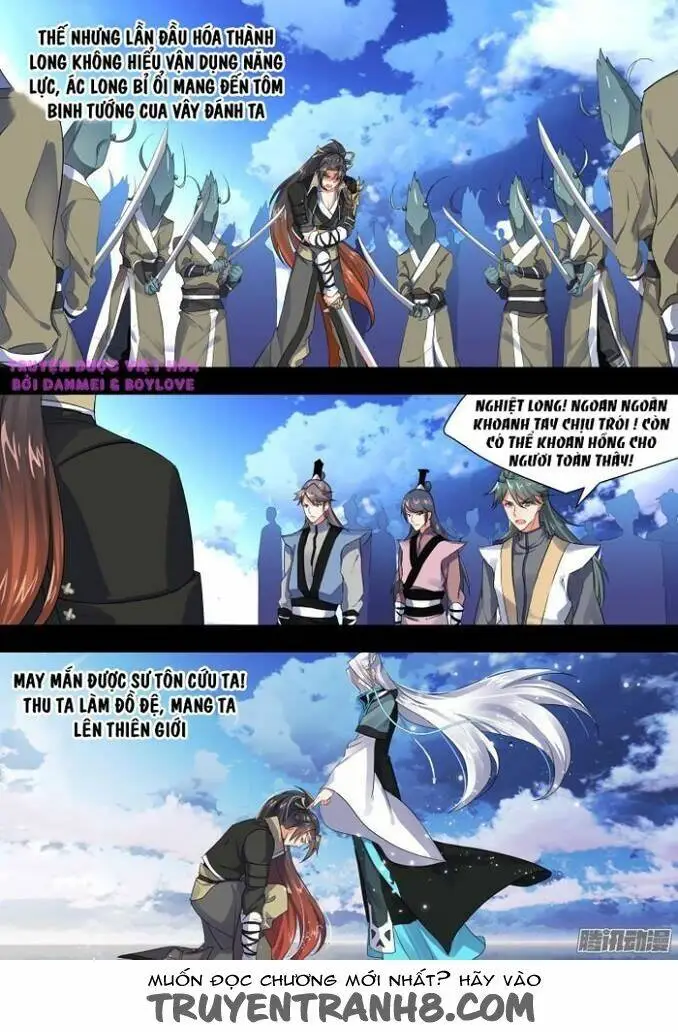 Chapter 11