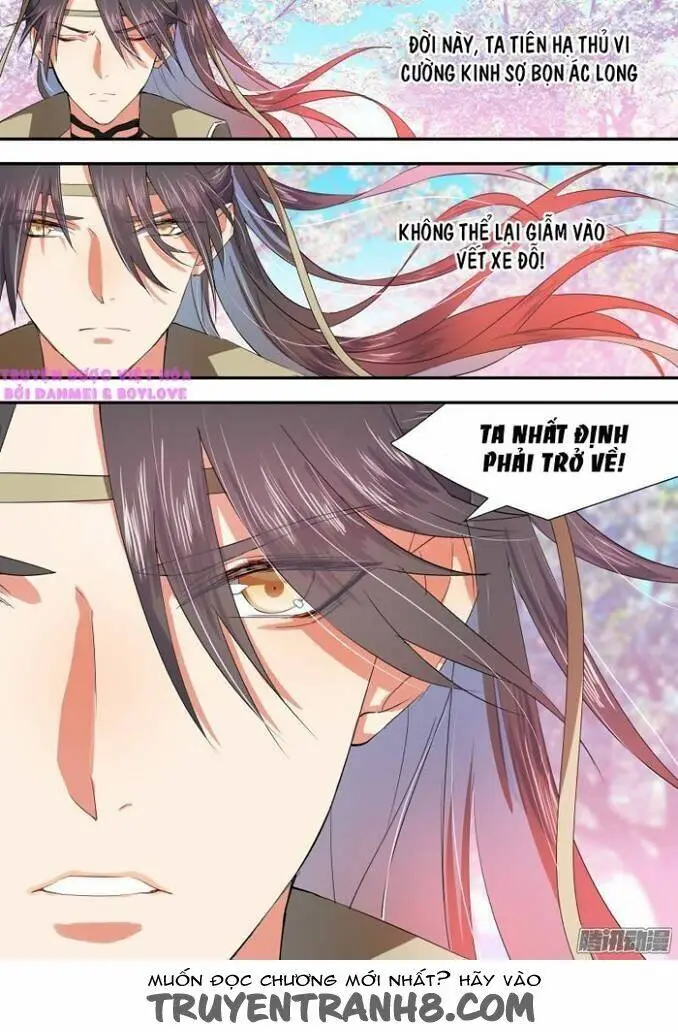 Chapter 11