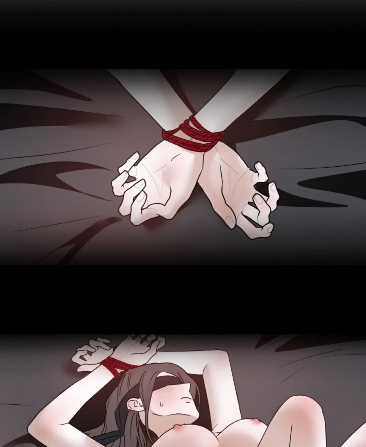 Chapter 66.1