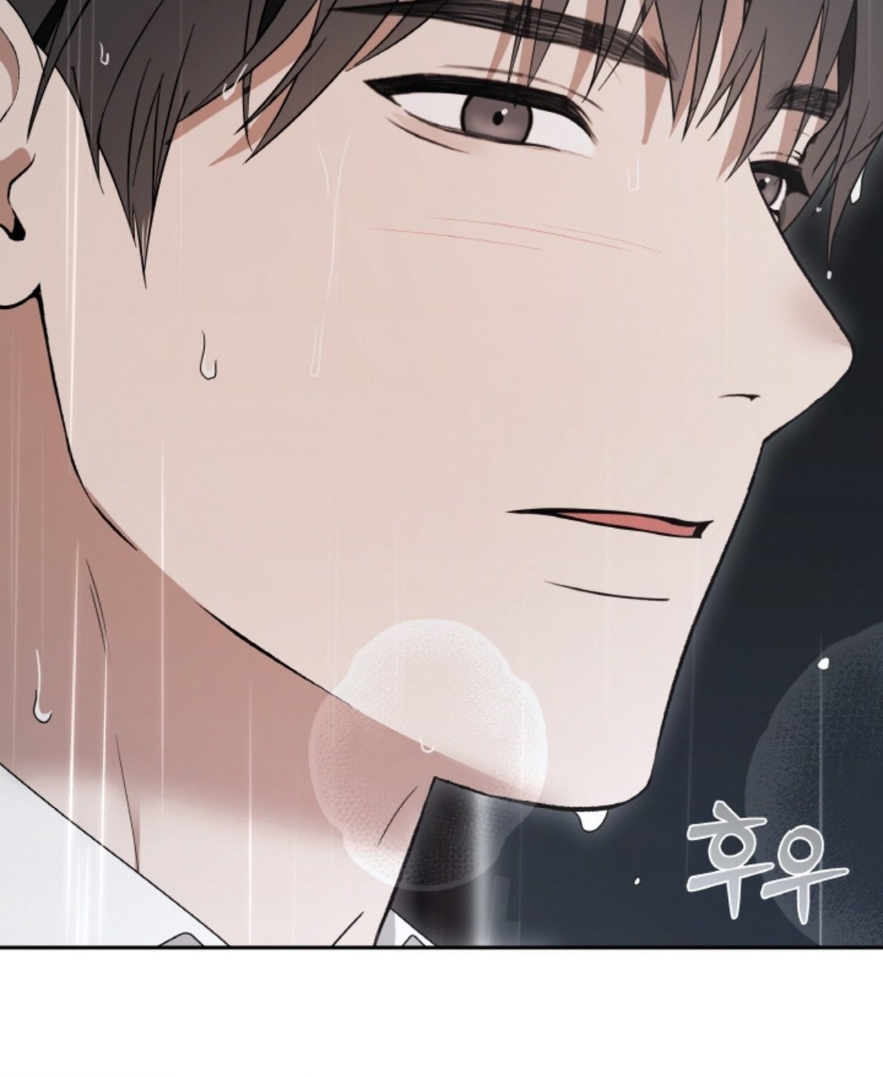 Chapter 63.2