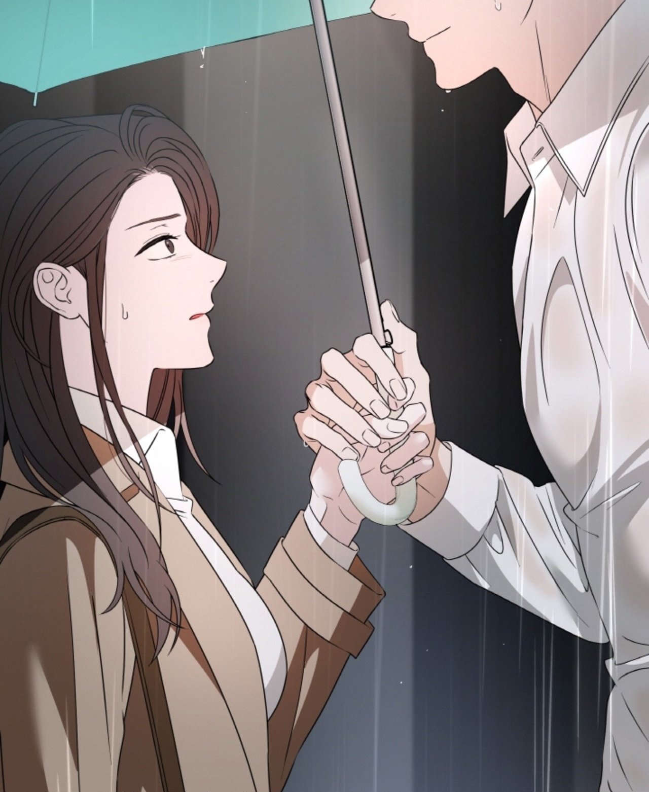 Chapter 63.2