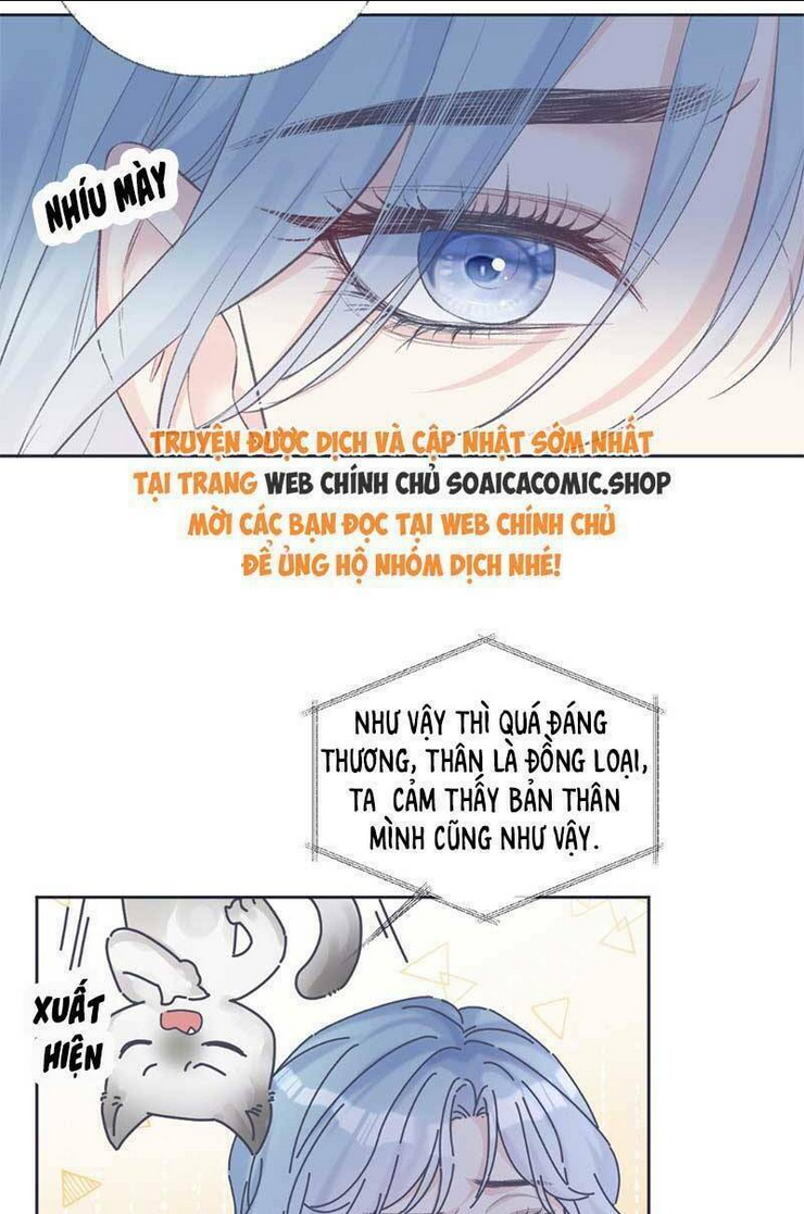 Chapter 70