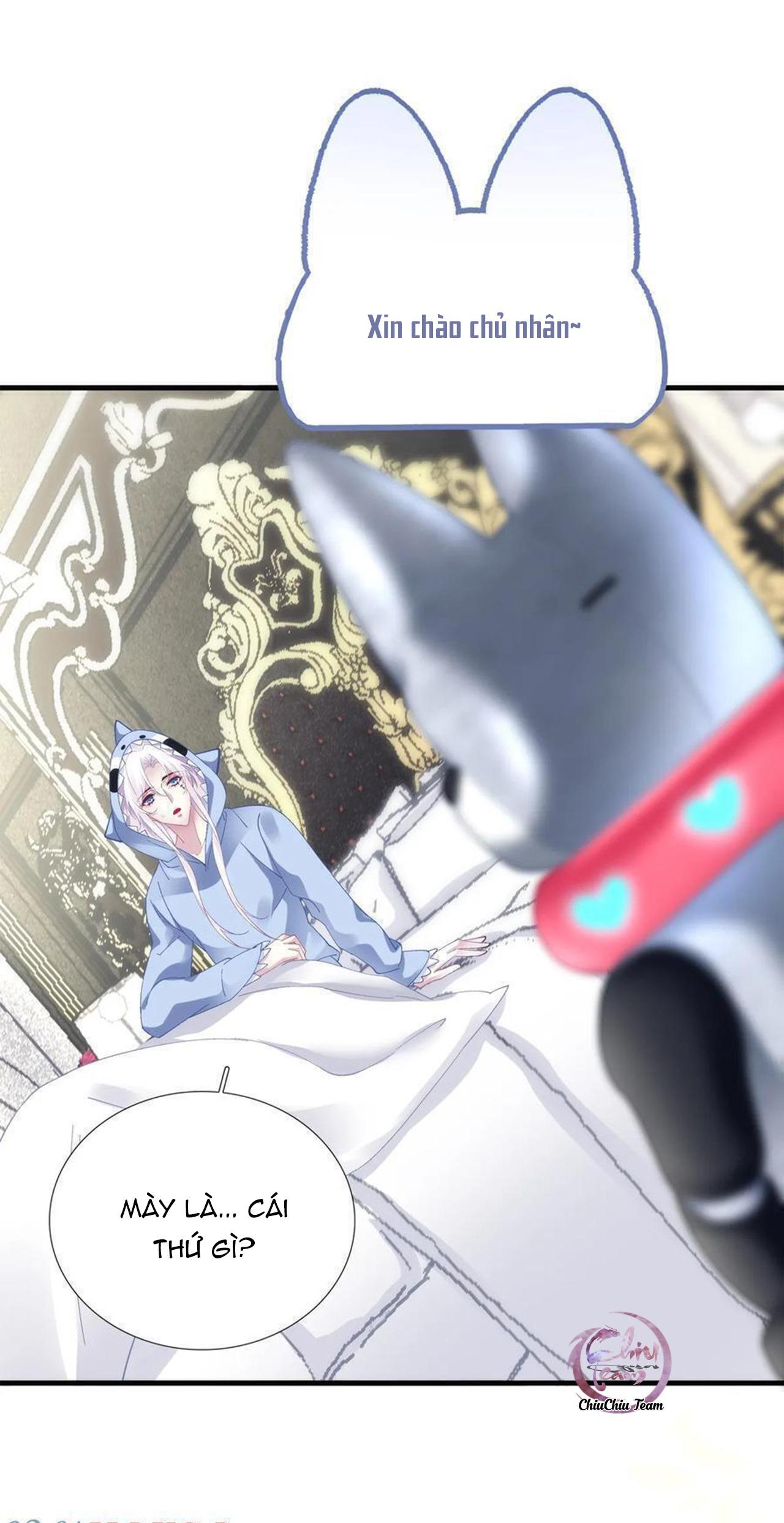 Chapter 64