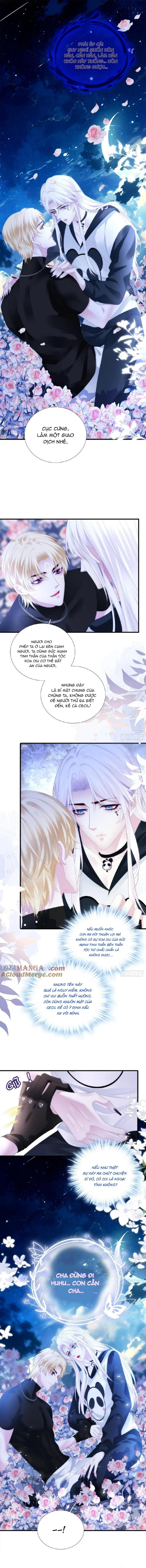 Chapter 41