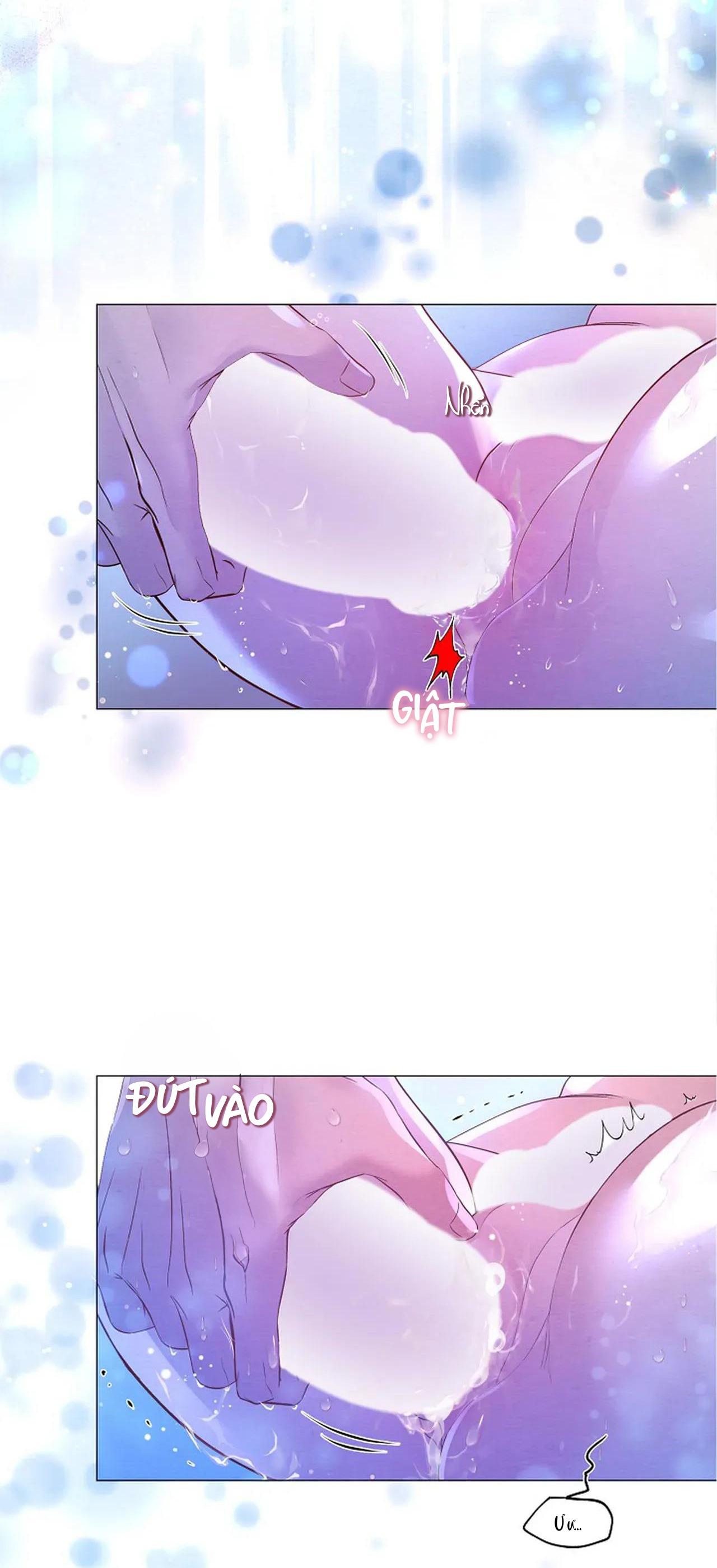 Chapter 5