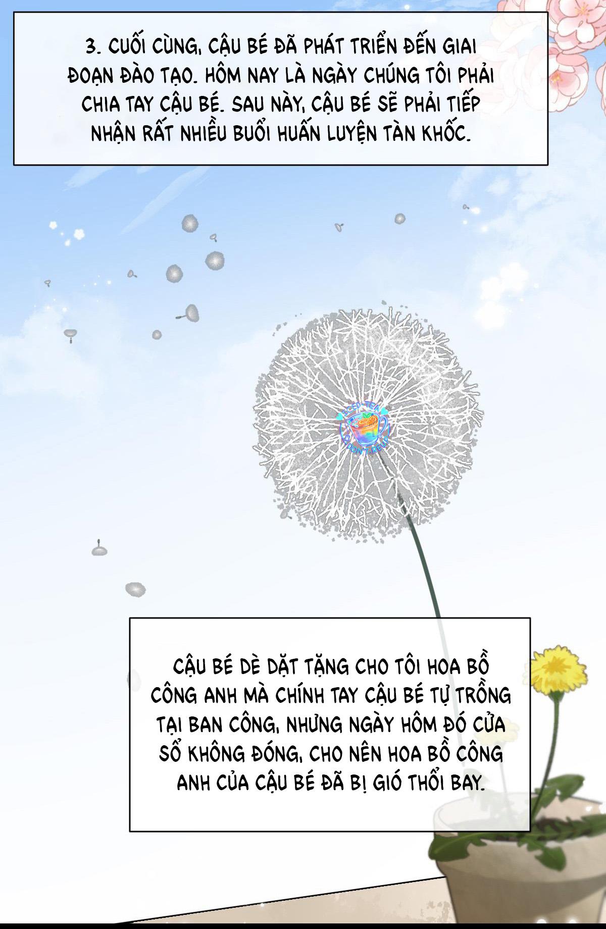 Chapter 36