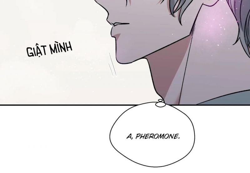 Chapter 39