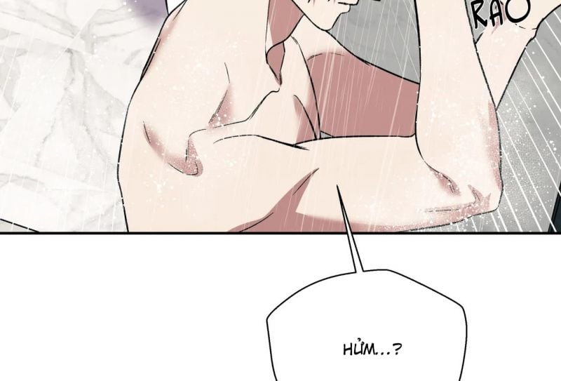 Chapter 39