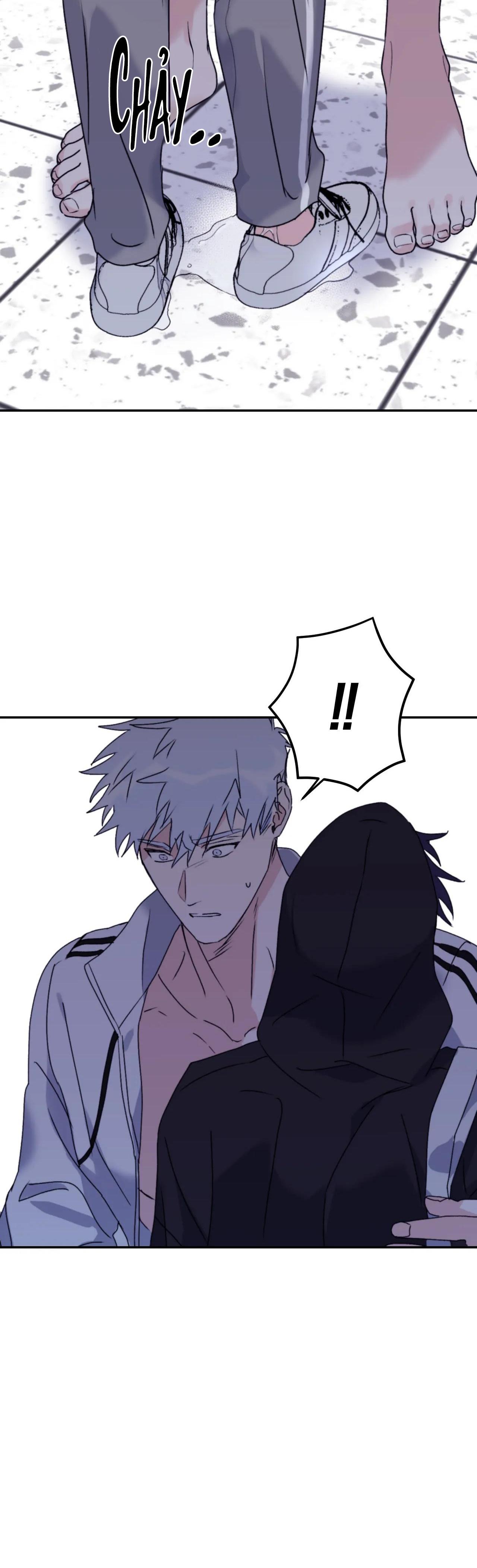 Chapter 48