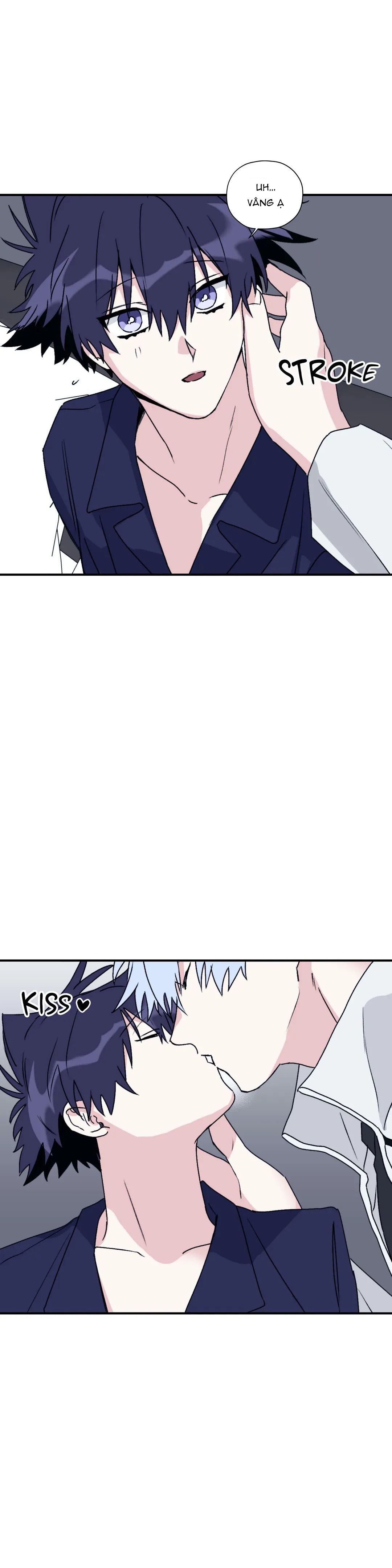 Chapter 31.1