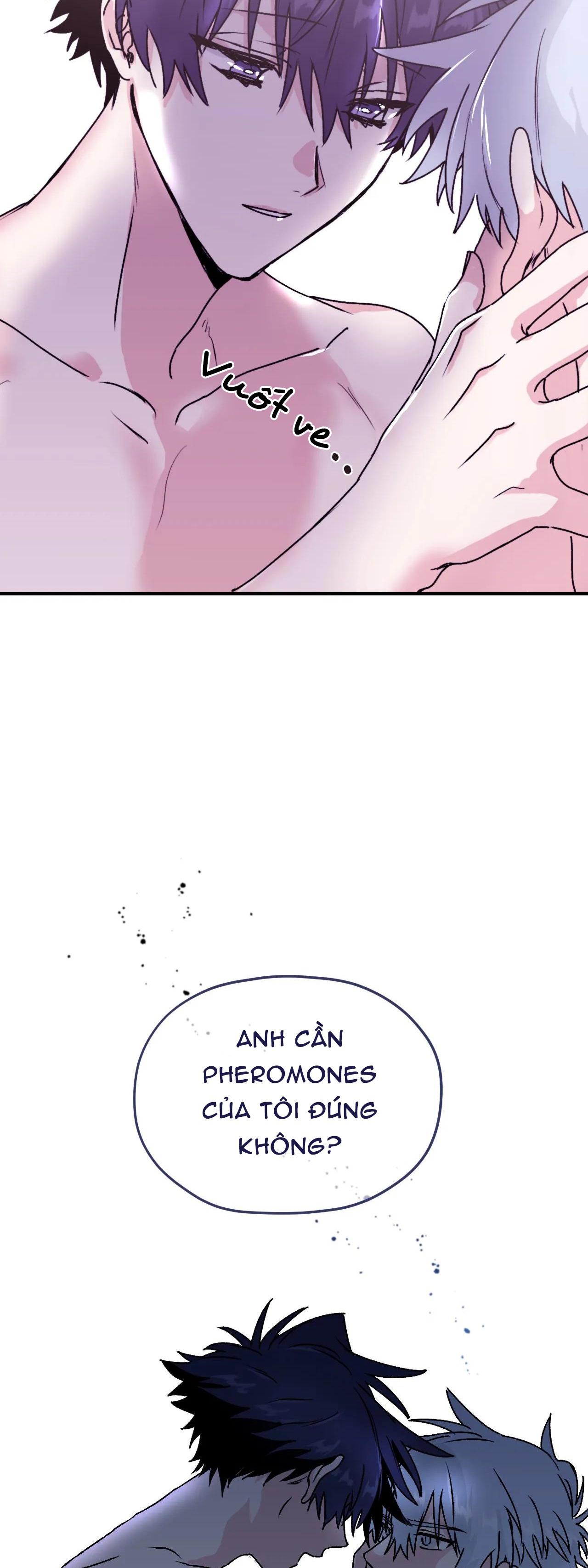 Chapter 27