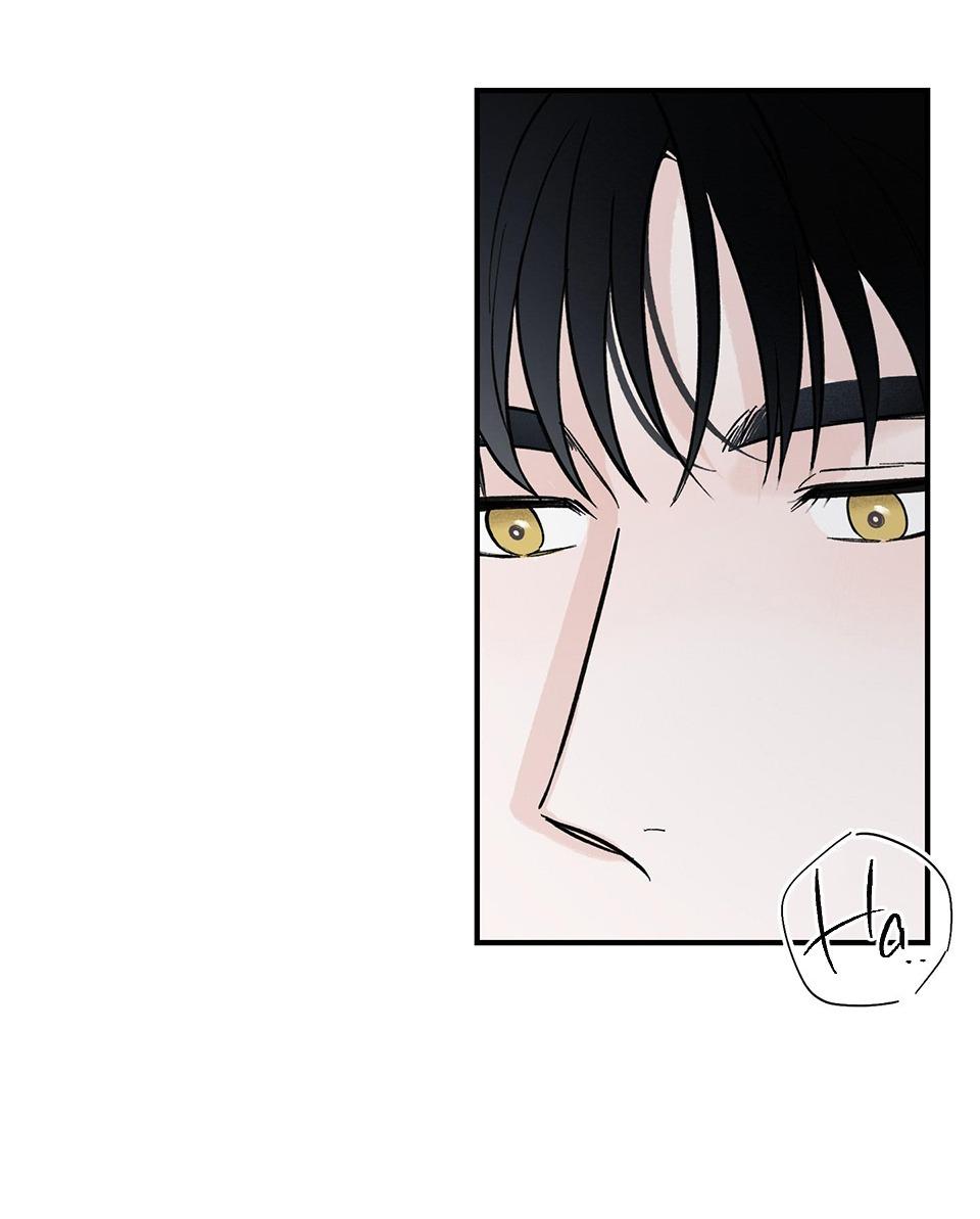 Chapter 6