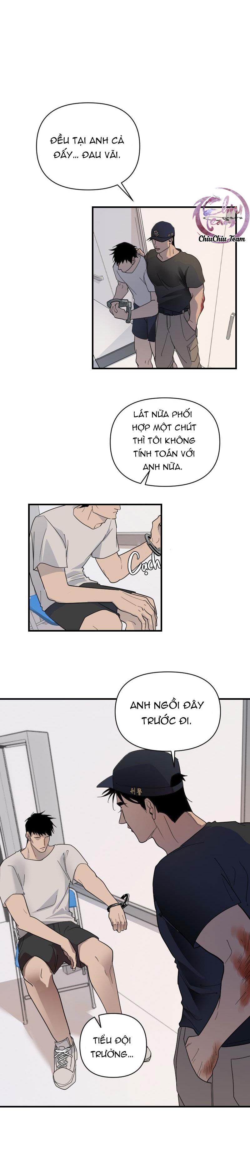 Chapter 19