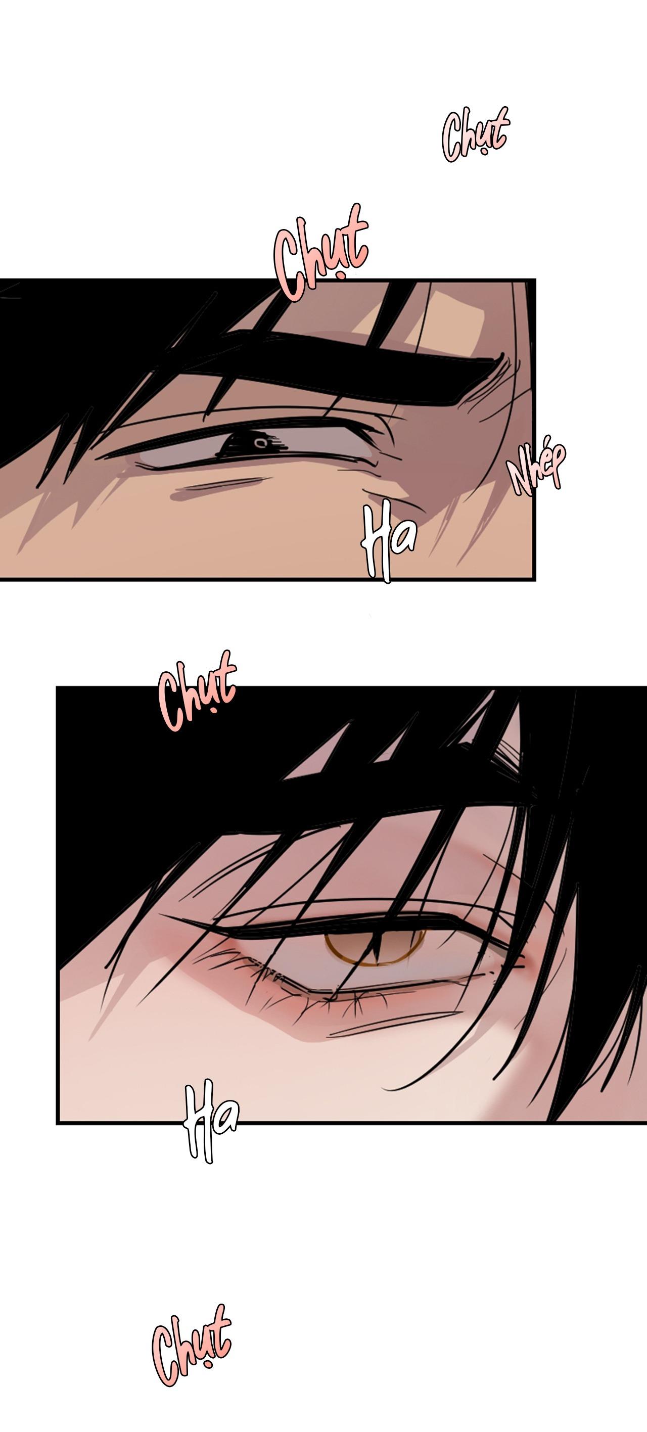 Chapter 16