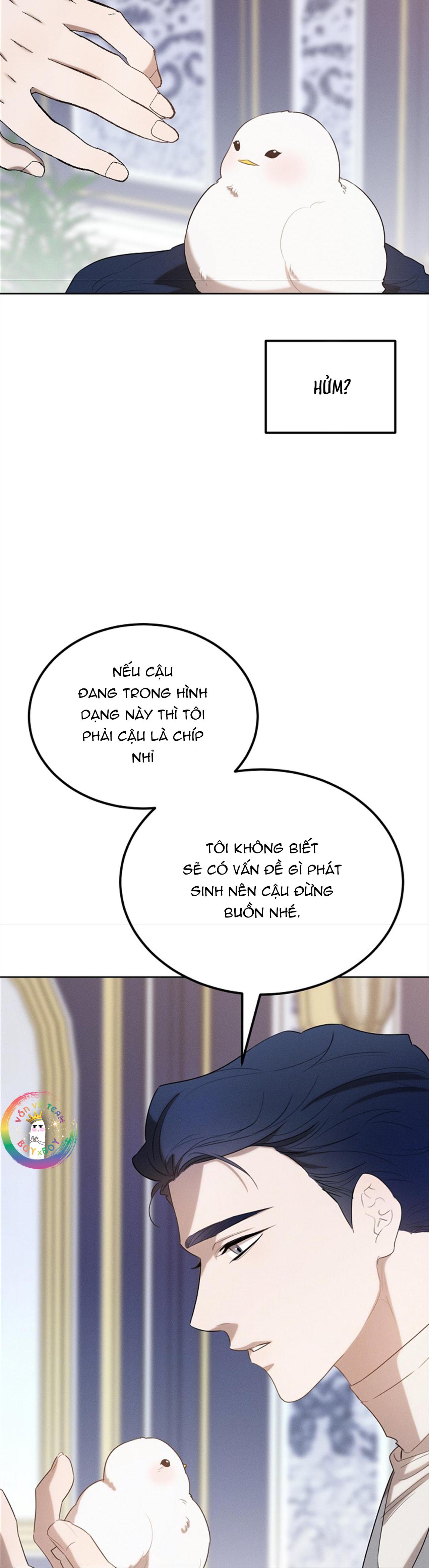 Chapter 32