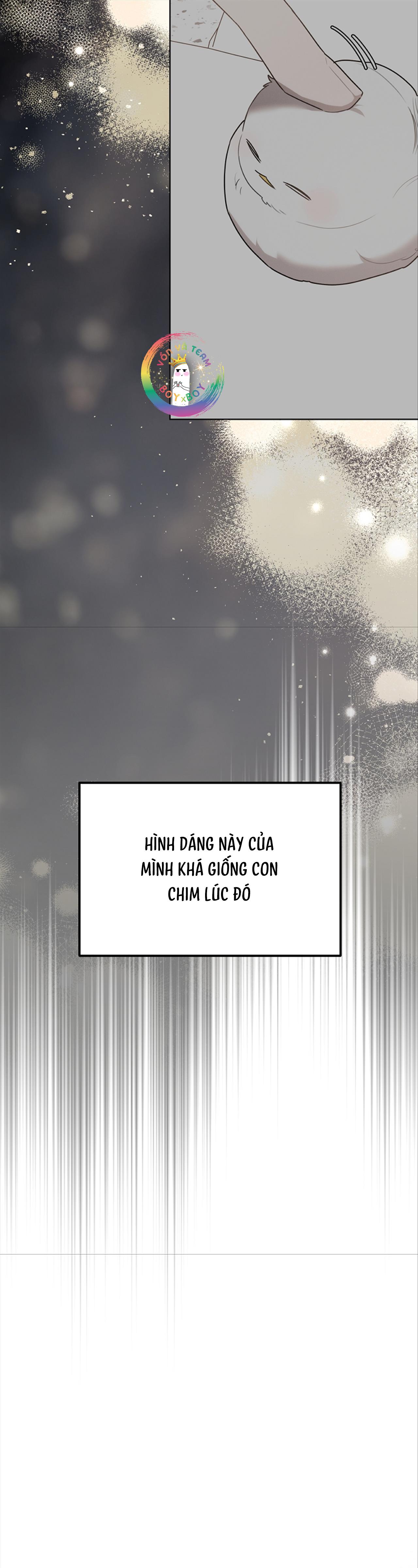 Chapter 32